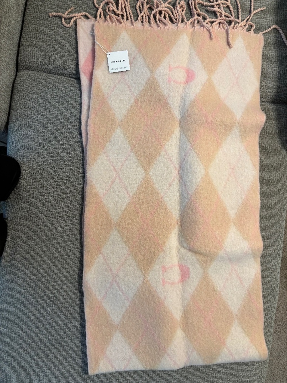 Coach scarf